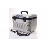холодильник термоелектричний 19 л. DC/AC 12/24/220V/60W ДК