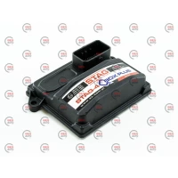 блок 4ц STAG- 4 QBOX PLUS