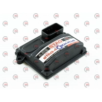 блок 4ц STAG- 4 QBOX PLUS