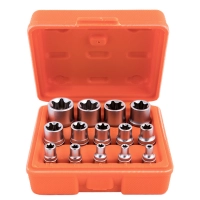 набор головок TORX 1/4", 3/8", 1/2"  14шт, Е4-Е24 CrV (пластиковый кейс)