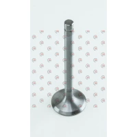 клапана ГАЗ 2410  випуск Челябінськ