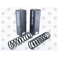 ПРЖ задня 2101  (SKADI) (комплект)