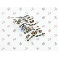 клапан бензиновый (латунь) CONCORD