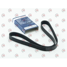 ремень ген. руч. Газель-560дв  6РКх1030 без ГУР (BOSCH)