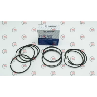 кольца Кострома Волга 95.5 (405,409 дв)