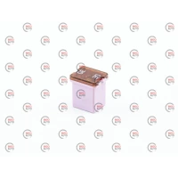 запобіжник картридж Tesla FJ17 30A