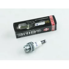 свічки  2T для б/п BRISK PR17Y Garden