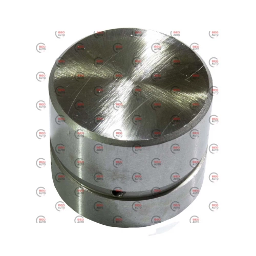 гидрокомпенсатор Lanos, Aveo 1.6 16кл  (шт) GENUINE