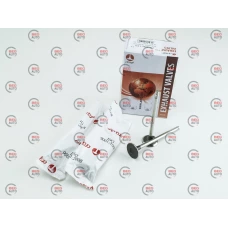 клапана Lanos 1,6 Польща AMP випуск (4шт)
