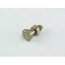 ексцентрика ГАЗ-3307,4301 в зб.