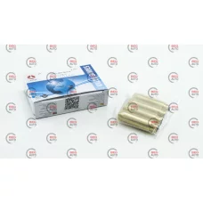 Направляючі клапанів Logan 8кл впуск (AMP - JREN005) 4шт