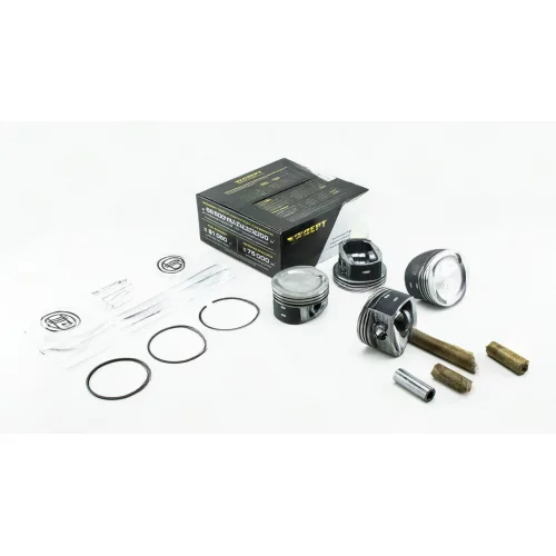 поршня 409дв 96.0 Кострома гр.Б (порш+пал+пор.кол.) Black Edition