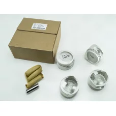 поршні Aveo 1,5  з пальцями  (DWmotors) стандарт