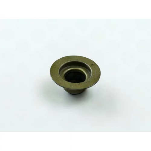 сальник клап. Amulet (VICTOR REINZ)