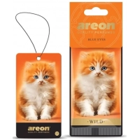 ароматизатор на дзеркало сухий AREON Лист Wild  "Blue Eyes"